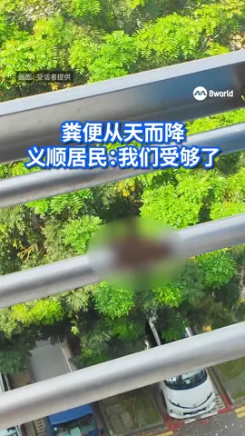 义顺一对母子被指六年来持续高楼抛物，丢弃的物品包括粪便和底裤，不仅弄脏同座邻居衣物，还险些砸伤路人。居民透露曾多次向当局投诉，问题却未见改善。 https://8w.news/3ITKzJe #yishun #义顺 #litter #littering #垃圾  Auto translation might not be accurate. Click to see original.