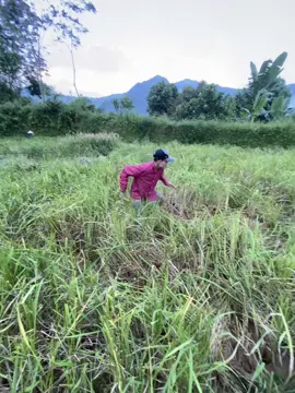 Ngày mới đến r#xh #xhtiktok #abcxyz 