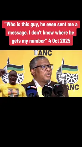 #southafricatiktok🇿🇦 #incaseyoumissedit #newsnexussa #newsstories 