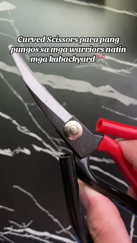 Curved scissors with manganese steel handles #fyp #pungos #backyardbreeders #affordable #warriors 