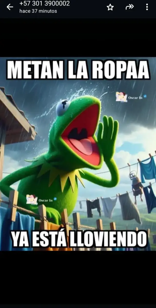 la ropa q está lloviendo 