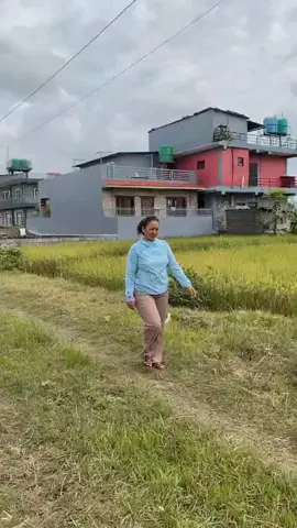Maya,Maya,maya Bas Maya🤣🤣❤️❤️💞💞@nabinachhetri8_0 @kalpana Ale magar #creatorsearchinsights 