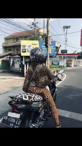 roarrrr