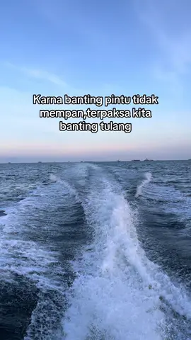 #fyp #kulikapal #xybca #foryou #masukberanda 