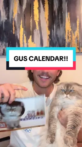 2026 GUS CALENDAR OUT NOW!! #pets #catsoftiktok #funny 