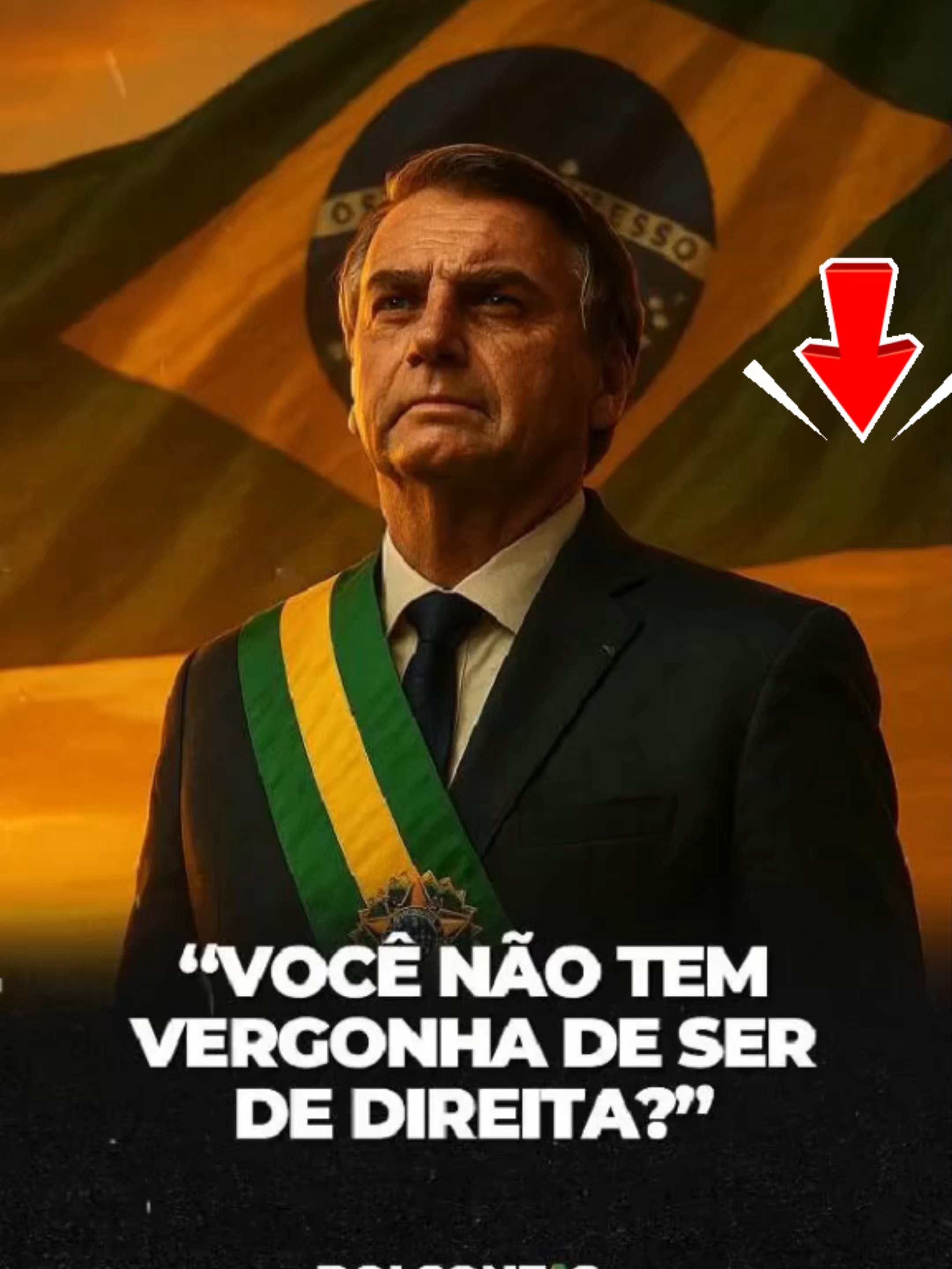 Bolsonaro Agora  #bolsonaro #brasil #22