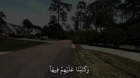 ﴿وَكَتَبنا عَلَيهِم فيها أَنَّ النَّفسَ بِالنَّفسِ وَالعَينَ بِالعَينِ﴾ [المائدة: ٤٥]#ماهرالمعيقلي #سورة_المائدة #اكتب_شي_توجر_عليه 