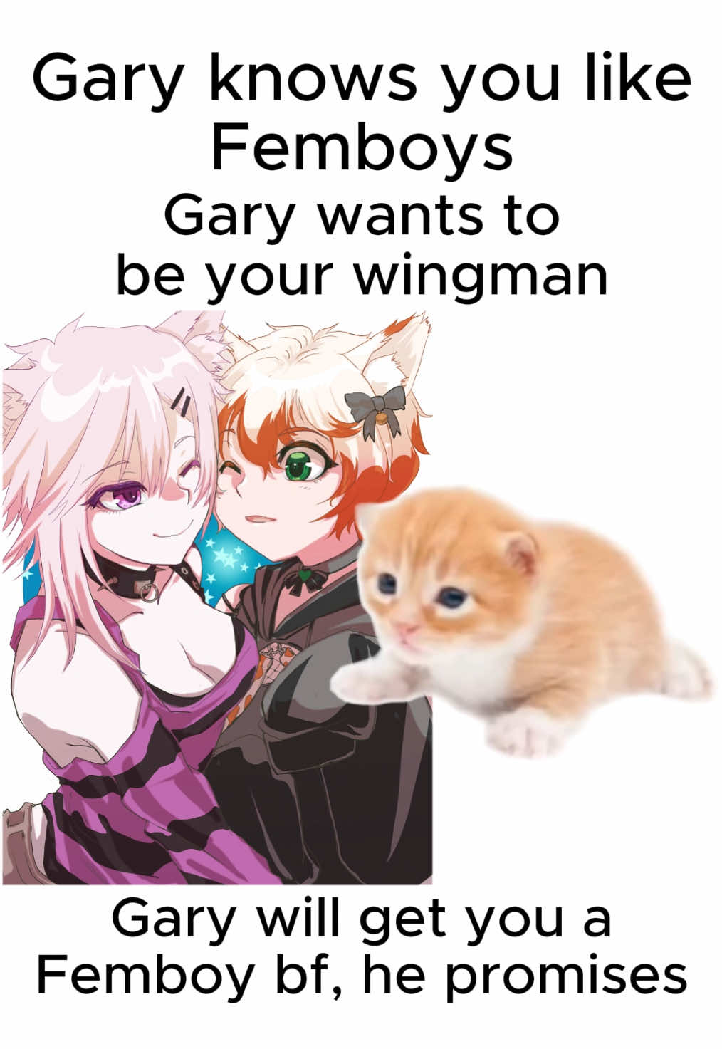 Say “Thank you Gary”! #femboy #vtuber #vrchat #furry #nekoa 
