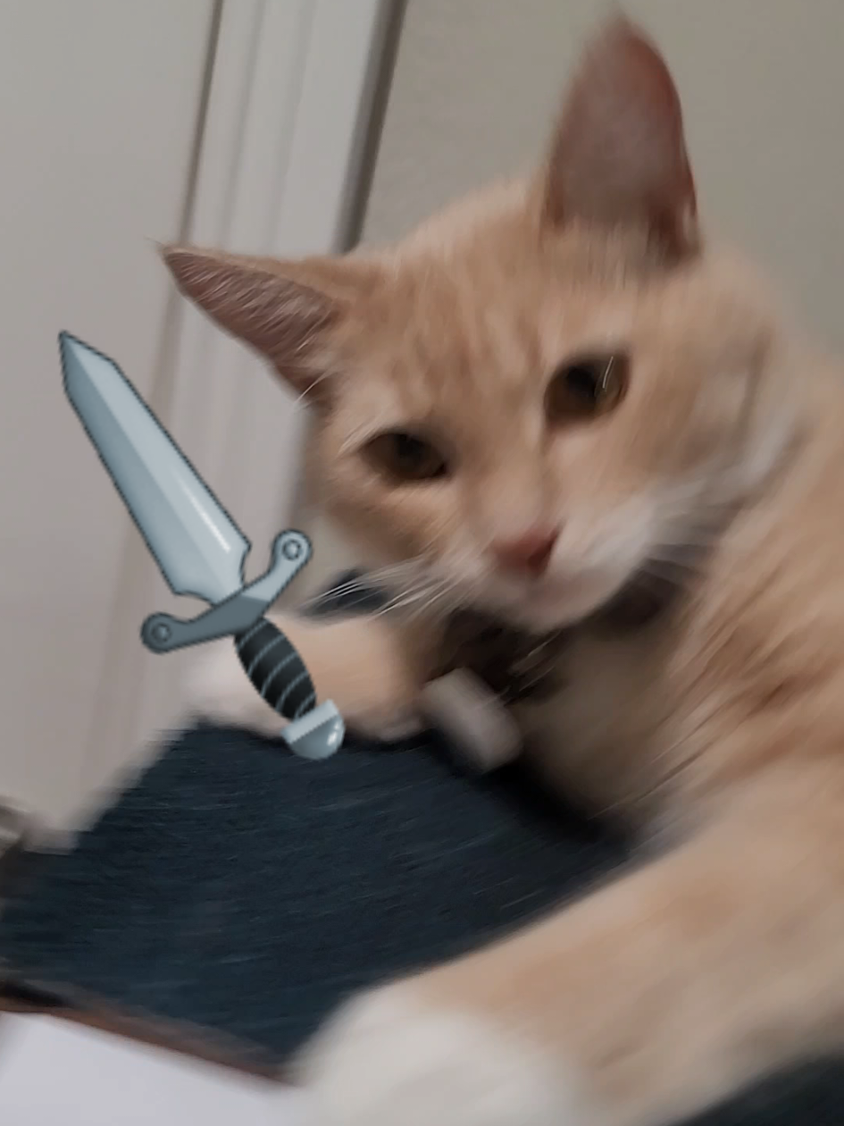 🐈 + 👦 + 🌙 = 🤺