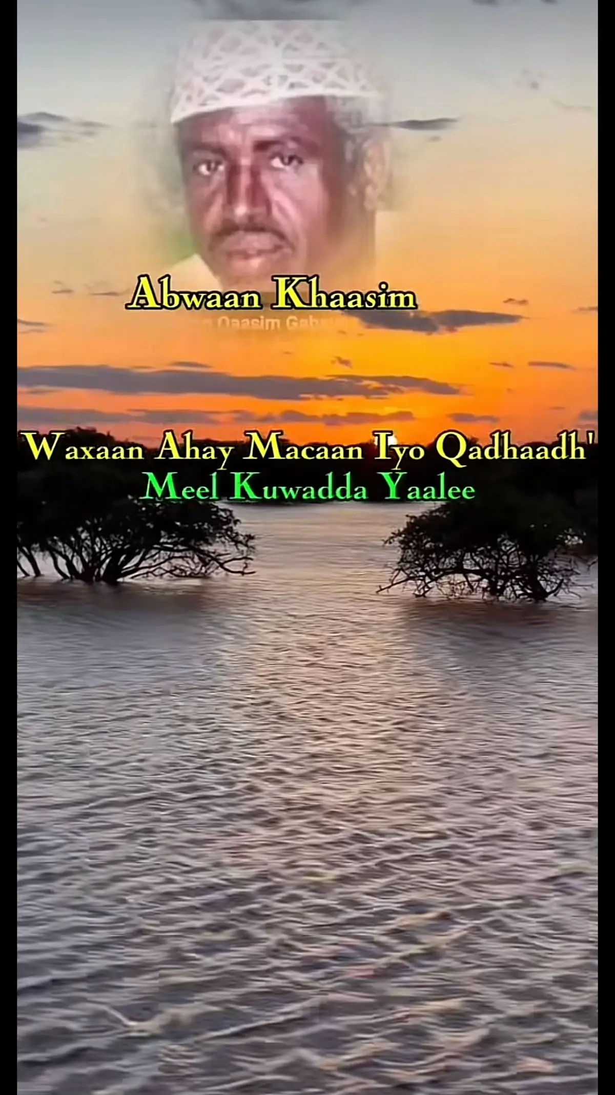 #abwan #foryoupage❤️❤️ #viral #fyp #somalitiktok 