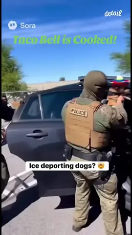 Ice Deport Portland#viralvideo #foryoupage #viral #fyp #COPS  @DancingMoto @HodgeTwins @ANTIFA @Portland Oregon 