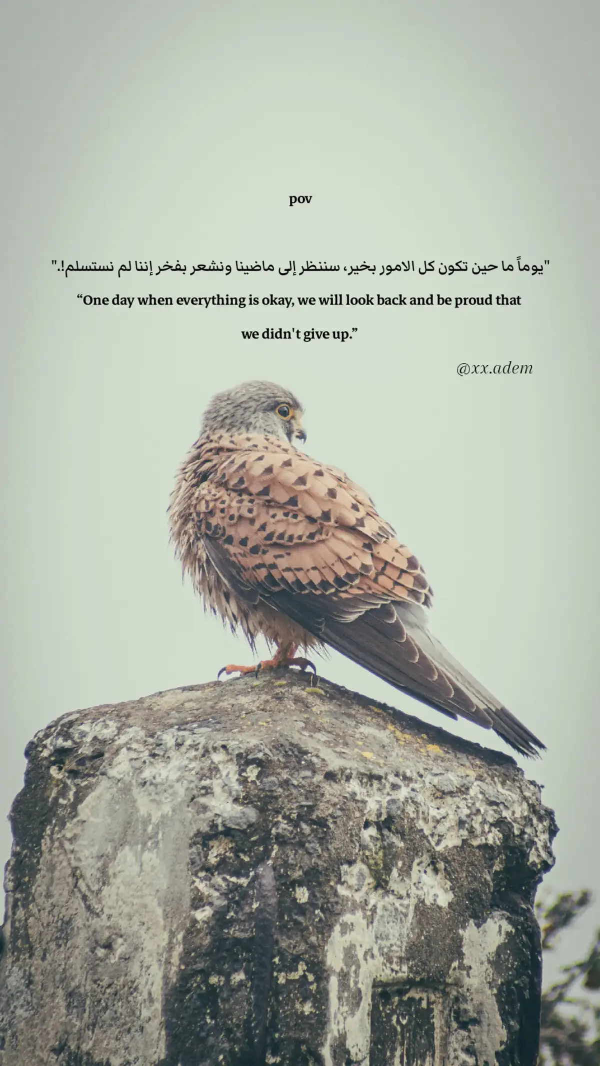 #ابوني_ياك_باطل_ولا_حنا_مانستاهلوش 