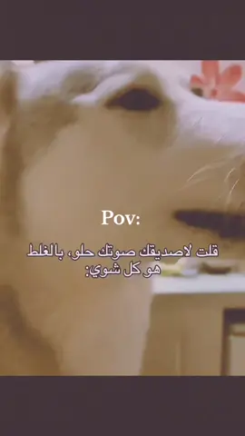 هو كل شوي هههه