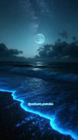 وَكَفَىٰ بِٱللَّهِ شَهِيدًا *بِسْــــــــــــــــــمِ اللهِ الرَّحْمَنِ الرَّحِيْمِ* *السَّلاَمُ عَلَيْكُمْ وَرَحْمَةُ اللهِ وَبَرَكَاتُهُ* *اَللَّهُمَّ صَلِّ عَلٰى سَيِّدِنَامُحَمَّدٍ وَعَلٰى اٰلِ سَيِّدِنَامُحَمَّدٍ ﷺ* #Sahabatfillahtilljannah  #Videoviral #fypシ゚viral #lewatberanda 