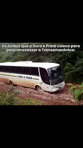 A OURO E PRATA COLOCA O G8 NO BARRO😫 #ouroeprata #transamazonica #onibusminhapaixao 