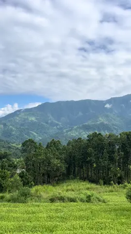 View🌿🌱☘️#leo💘 #keeploving #fyppppppppppppppppppppppp 