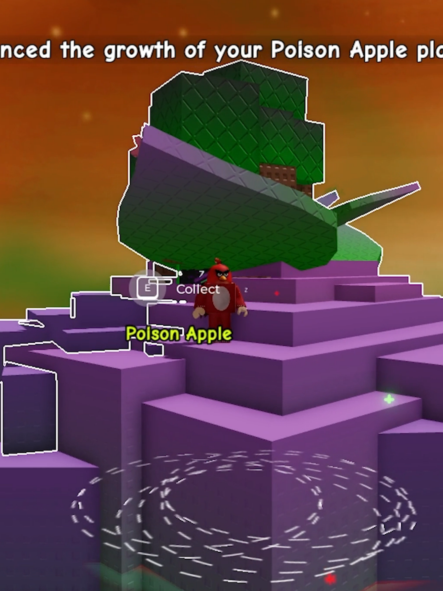 Black Cat + All Sprinklers = ? #growagarden  #growagardentrend #roblox