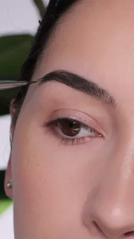 Current eyebrow routine I use the @Anastasia Beverly Hills dip brow pomade in shade granite. @Sigma Beauty e75 brush, and @got2b got 2b glued hair gel @Revlon Cosmetics lash and eyebrow brush tool *brushes received in pr other products purchased  #brows #eyebrows #eyebrowroutine 