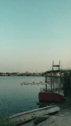 وانتظر بلكي موتي يجيني#سيدسلام_الحسيني #قصيده #اكسبلور #لايك #مشاهدات 