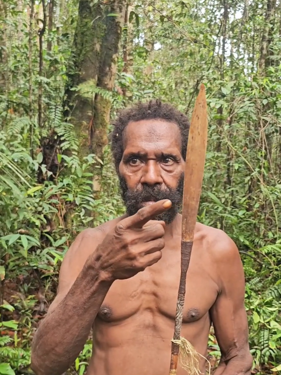 Survival Arrows 🏹😯 #hunting #korowai #jungle #nature #papua 