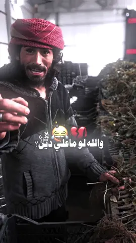#لحن #😂 
