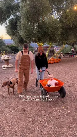 My perfect family! Cannot wait to have our newest addition with us next year @ the pumpkin patch! #family #pumpkinpatch #pumpkinseason #dog #carhartt 