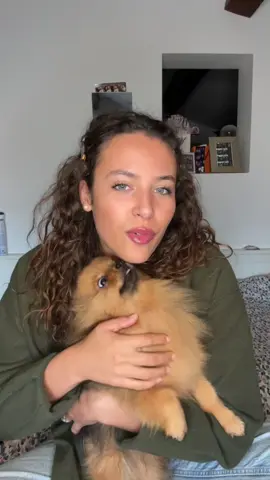 C’est le revivreee