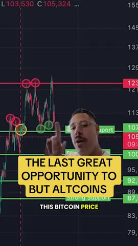 The Last Great Opportunity To Buy Altcoins