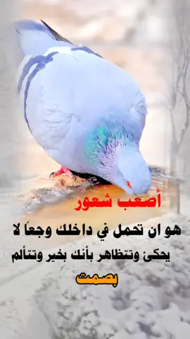 #الموصل #مدينتي #العقول_الراقيه 