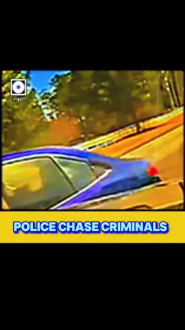 10 Police Chase Criminals