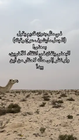 في مثل بدوي قديم يقول (الجمل مايشوف عوج رقبته) بمعنى! البعض يتفنن في انتقاد الآخرين، ولو نظر إلى حاله لاحتار من أين يبدأ #امثال #جمال #تصميم_فيديوهات🎶🎤🎬 #اكسبلور 