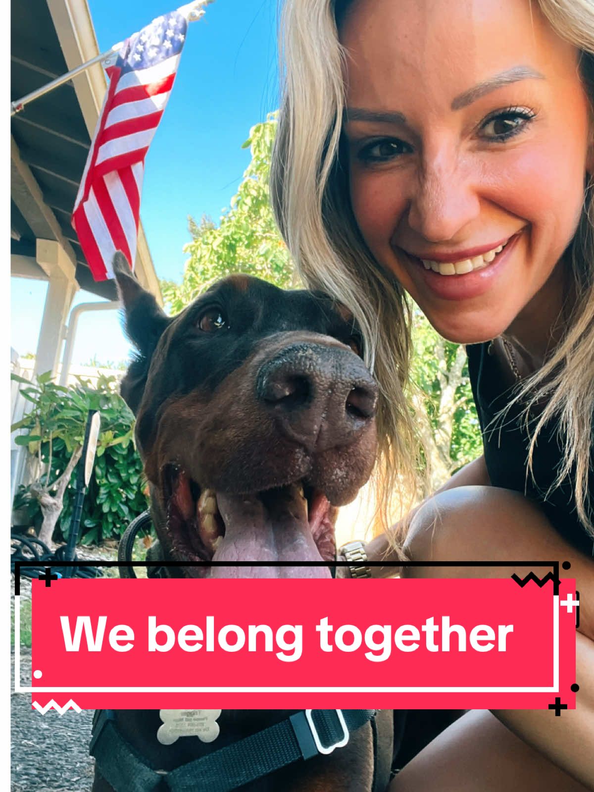We might be single… But, we belong together. Somebody might join us… But they will never separate us. #doberman #singlelife #lifeafterdivorce #belongtogether 