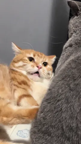 อย่าให้กูอดบ่ได้เด้อเบ้บบบบ 