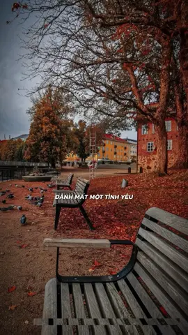 Em Thua Cô Ta  - Cover by TMTGuitar #emthuacota #rock #capcut #capcutpioneer #pioneertemplate 