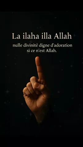 لَا إِلٰهَ إِلَّا اللهُ « nulle divinité digne d'adoration si ce n'est Allah. »☝🏽 #islam #allah #islamic_video #coran 