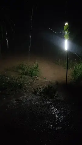 ඒක ලොකු හයියක් 🥹#fyp #viral #CapCut #onemillionaudition #nature 