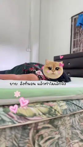 ซื้อเป็นของขวัญให้ตัวเอง พ่อแม่ ย่ายาย ปลื้มแน่นอน 💗✨ #noozsleep #ท็อปเปอร์ #คลิปนี้ต้องฟีด #ของมันต้องแชร์ #ที่นอนนุ่มไม่ปวดหลัง 
