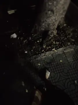 #ngyenphkhang #xh #fyp 