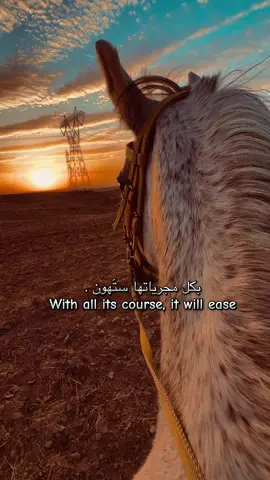 #العراق #كركوك #خيل_وخياله🐎🖤ماشاءالله #الخيل 