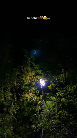 tu nehati🤎🫠…#fypシ゚ #viral #foryou #tiktok #selwa🦋 