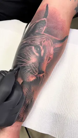 Lynx or bobcat? @Cheyenne Tattoo Equipment @intenzetattooink 
