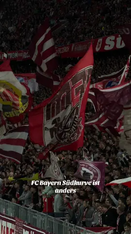 Fc Bayern Südkurve geht einfach so! #fcbayern #südkurve 
