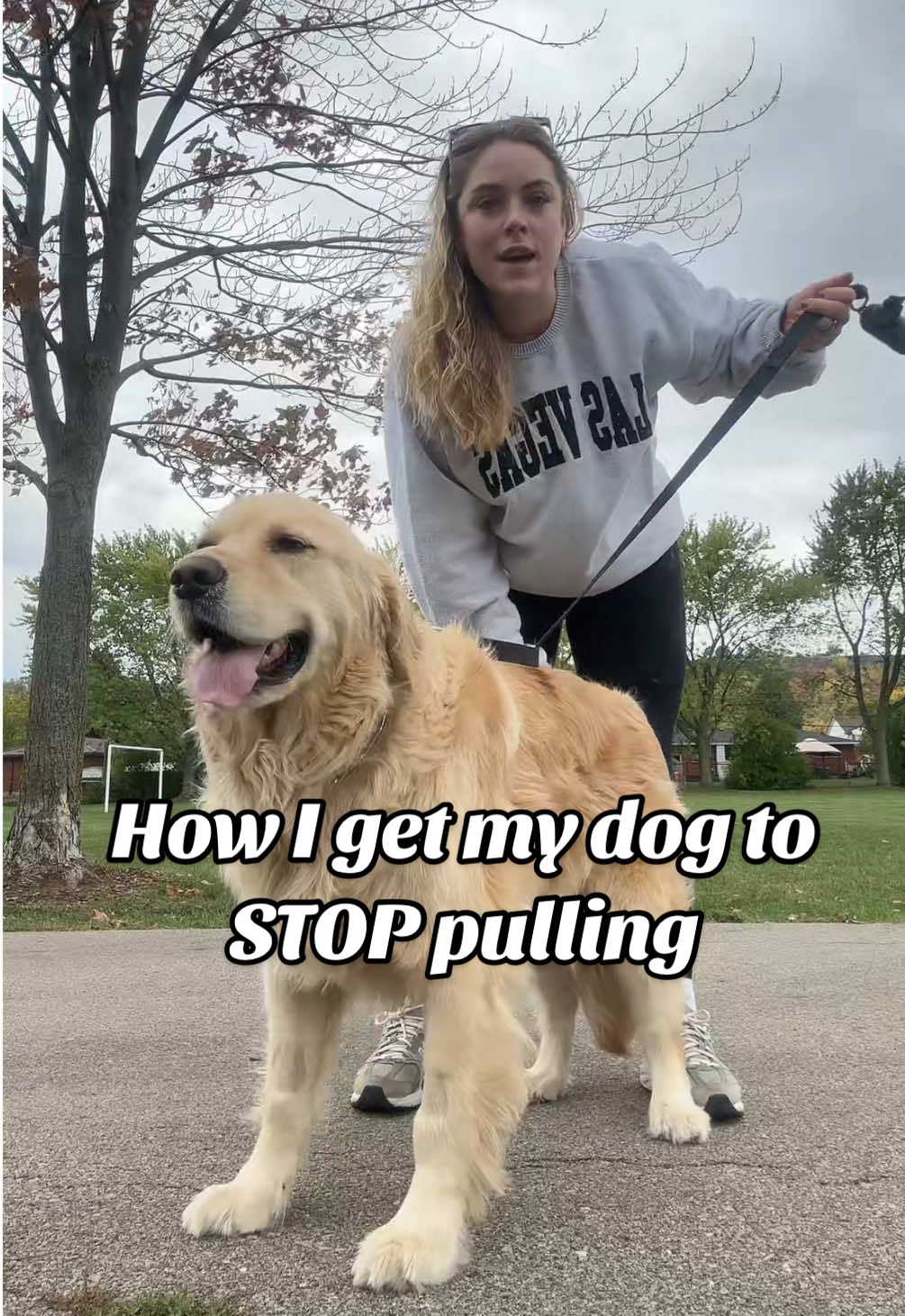 How I get my dog to stop pulling when on walks and it works like a charm! #dogwalking #goldenretriever #DogTraining 