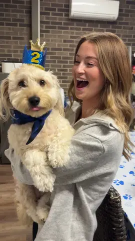 Bucky comes to work with us every day, and today his grandparents threw him a surprise birthday party! Happy 2nd birthday Bucky!! 💙💙 #couplesoftiktok #doodlesoftiktok #dogparents #marriedlife #husbandwife 