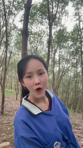 หยอดกรดเสร็จแล้วจ้ามื้อนี้🥰 #ชาวสวนยาง  #อาชีพกรีดยาง  #ยางพารา  