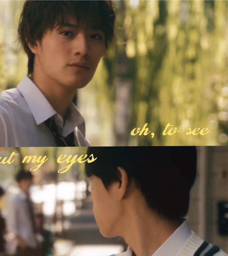 mystery of love #ouryouth #ytv未成年 #motojimajunsei #kamimurakenshin #japanesebl 