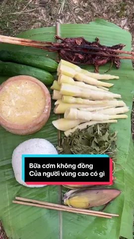 Cùng mình lên rừng đi tìm kiếm thức ăn, xem bữa cơm không đồng của mình ngày hôm nay sẽ có món gì nhe #atuaphinhho #anhcanboxa #dacsantaybac #sinhton #cuocsongvungcao 