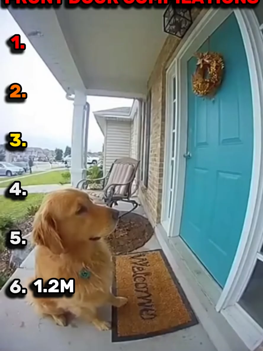 most viewed sora 2 front door compilations!👀 #soraclips #sora2 #frontdoor #compilations #aifunnyvideos