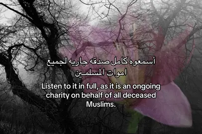 🪷#صدقه_جاريه_لجميع_اموات_المسلمين #صدقه_جارية #اللهم_ارحم_فقيد_قلبي #استغفرالله #لا_اله_الا_الله_محمد_رسول_الله 