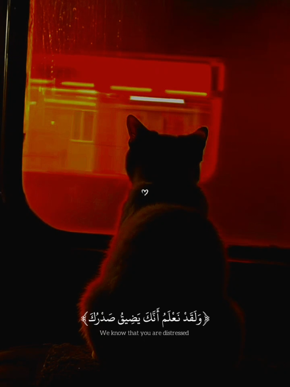 تلاوه جميله ومؤثر ل القارئ عبدالله احمد شعبان 🖤🎧😴  #fyp #quran #quran_alkarim #قران_كريم #عبدالله_احمد_شعبان 